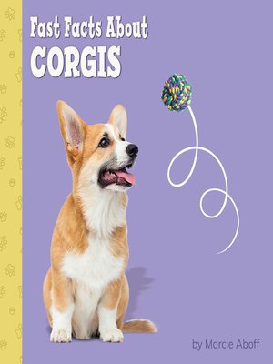 cover image of Fast Facts About Corgis